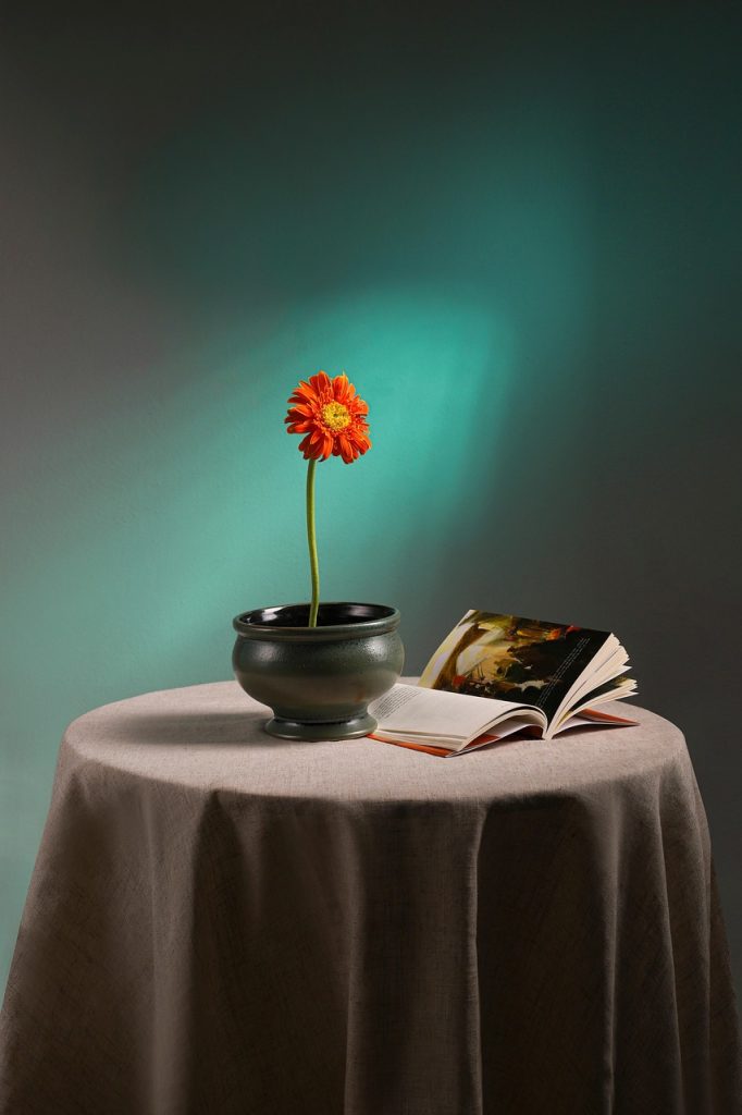 découvrez les dernières tendances déco pour sublimer votre intérieur : couleurs, matières, styles et idées inspirantes pour une maison moderne et chaleureuse.